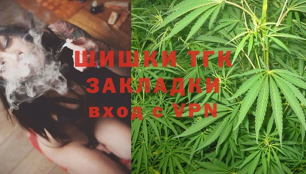 2c-b Вяземский