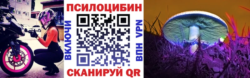 Галлюциногенные грибы мицелий  Дивногорск 